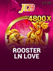 Rooster In Love